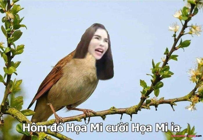 meme cười nham hiểm bựa